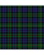 Clan MacEwen Family Tartan Kilt