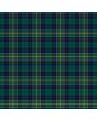 Hunter Of Hunterson Tartan Kilt