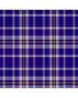 Clan Ochterlony Tartan Kilt