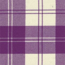 Erskine Dress Purple And White 
